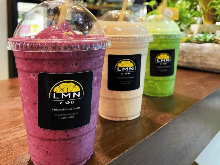 LMN2GO-3